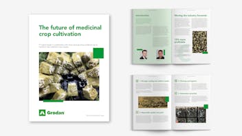 Mock-up for cannabis whitepaper