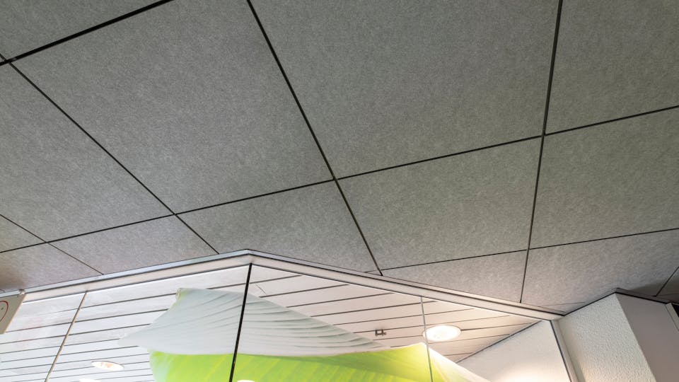 Featured products: Rockfon Color-all®, B, 600 x 600