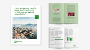 Visual, report, sustainability