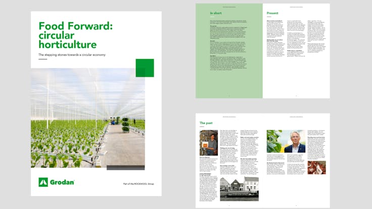 visual, report, whitepaper, Food Forward, circular horticulture, stepping stones, circular economy, Grodan, EN