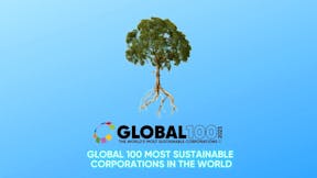Tree graphic, world's most sustainable companies, Global 100