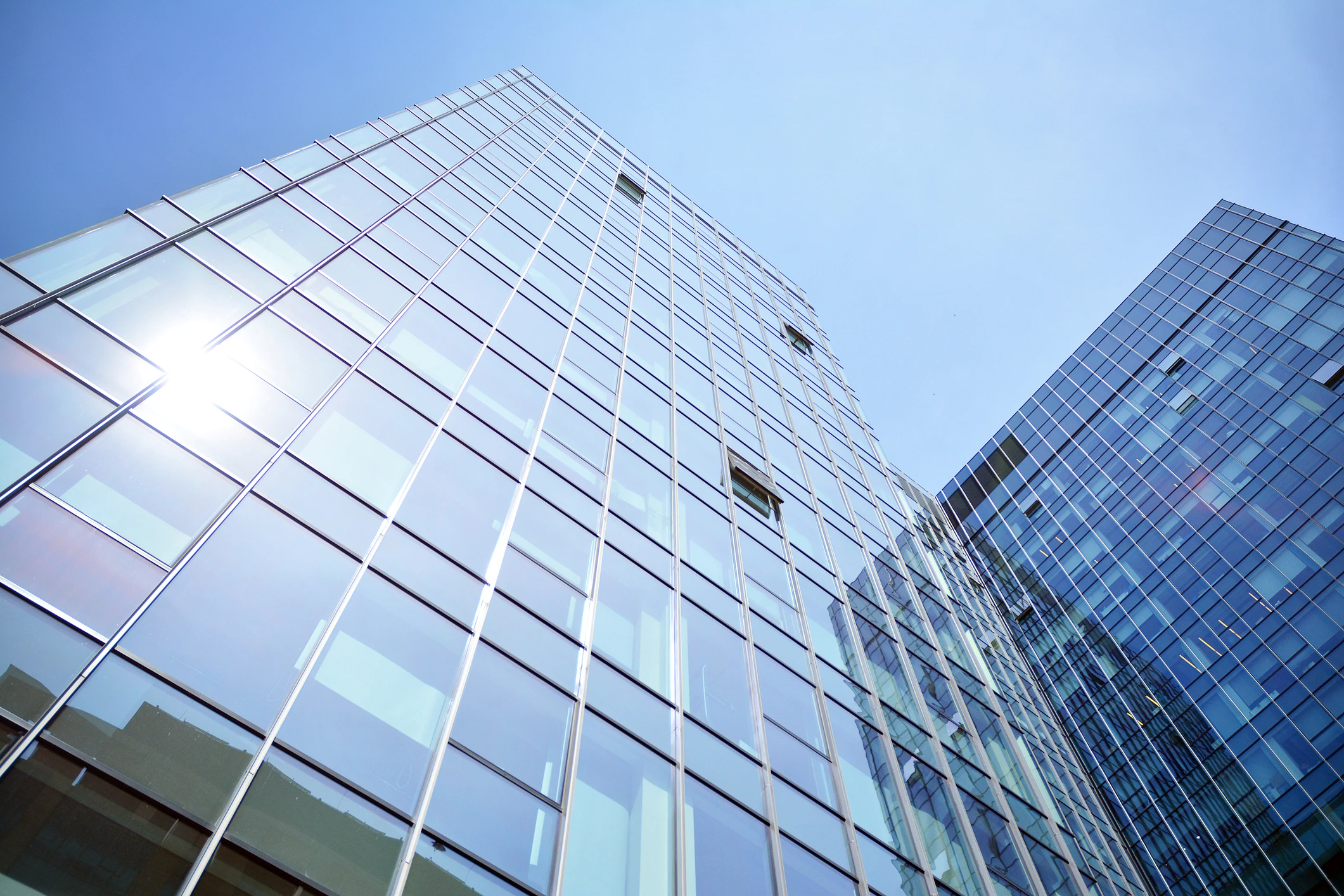 Curtain Wall Completed Project Shot