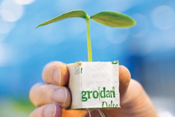 Grodan MM Block Delta