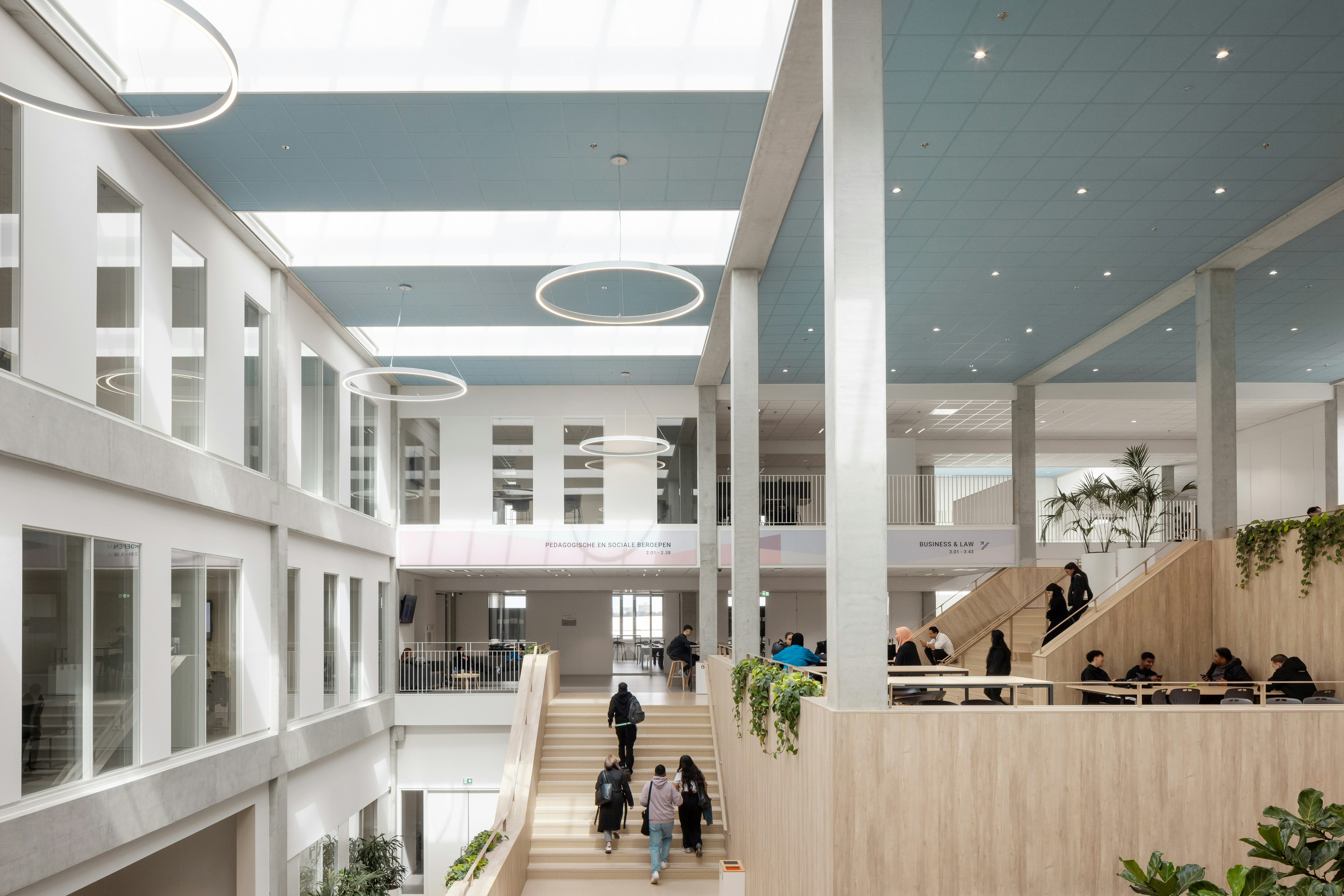 Corridor in ROC Mondriaan in The Hague Netherlands with Rockfon Color-all A-Edge