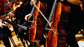 Musicians during a classical music concert, playing violins
