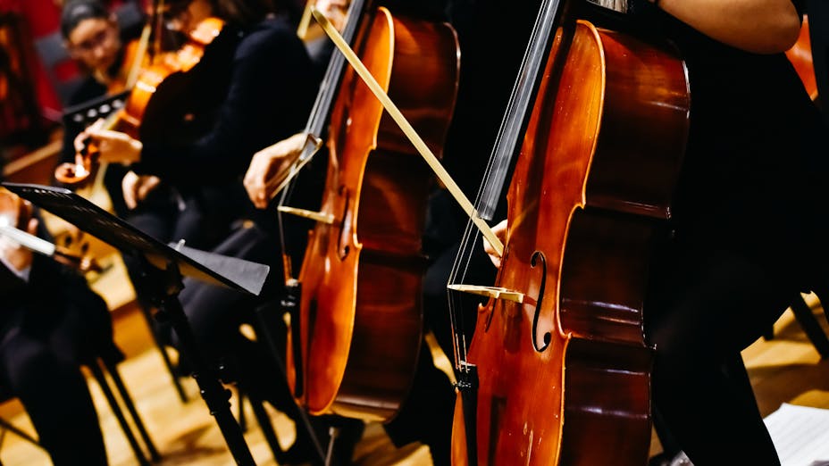 musicians playing music in concert halls