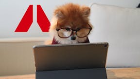 Webinars, happy, dog, study