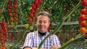 Cock van Overbeek, man, plant, tomato, grodan