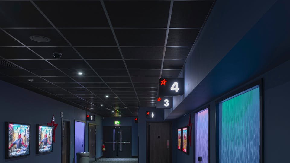 Acoustic ceiling solution: Rockfon Color-all®
