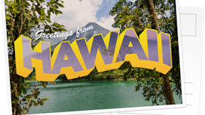 Postcard, Illustration, Vacation, Holiday, Education, Hawaii