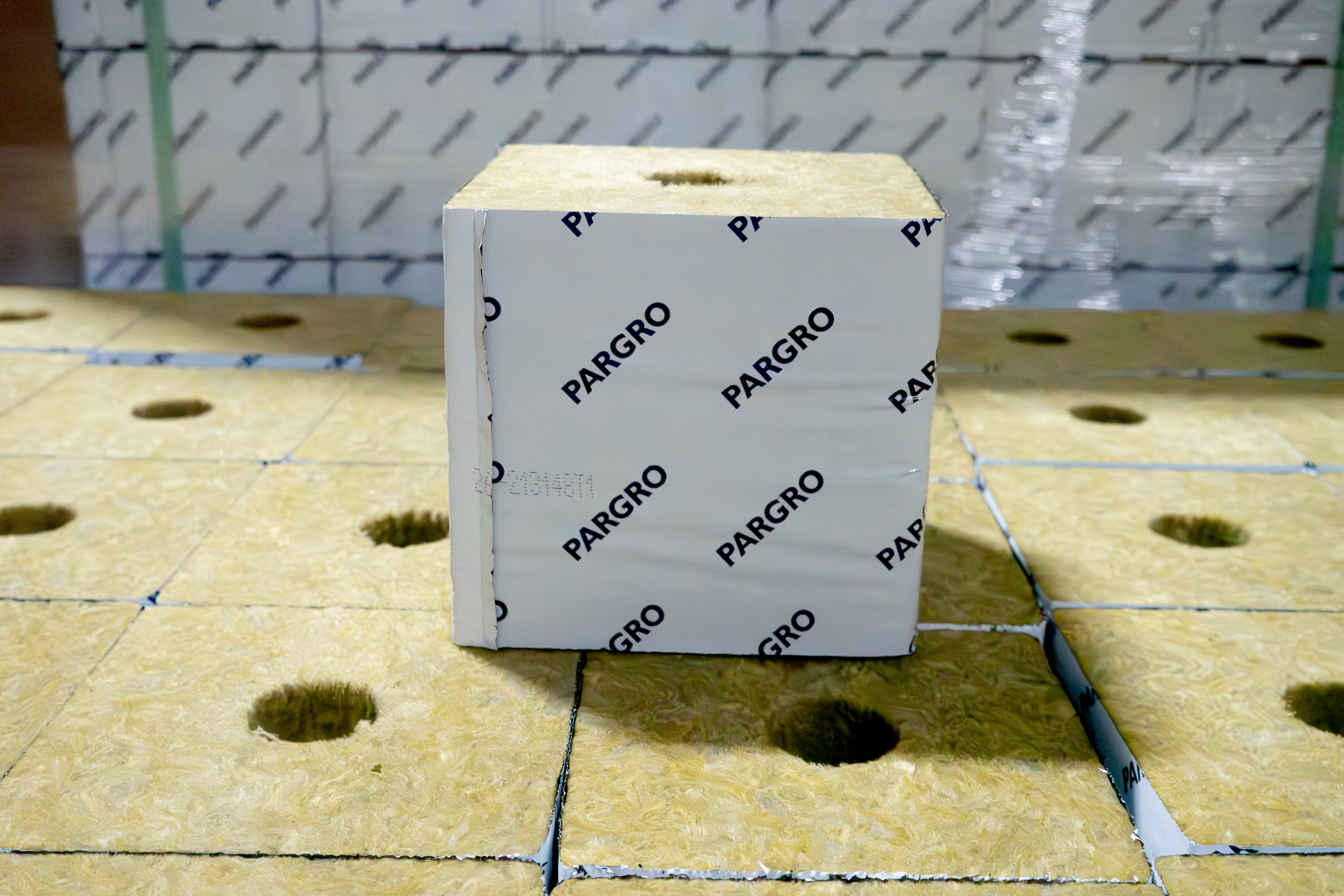 This shot is of a Pargro block 6.5 on a pallet. Captured at High Grade in PHX.