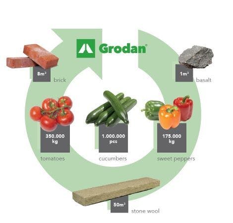 recycling, infographic, cucumbers, tomatos, circle, grodan