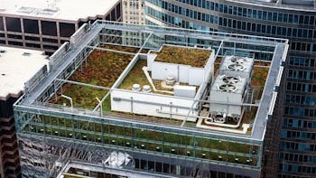 North America green building design and construction using green roofs to save energy, absorb rainfall, and help cool the air during the summer when the humidity and temperature in urban areas is much higher than nearby countrysides. Sustainable infrastructure and buildings.