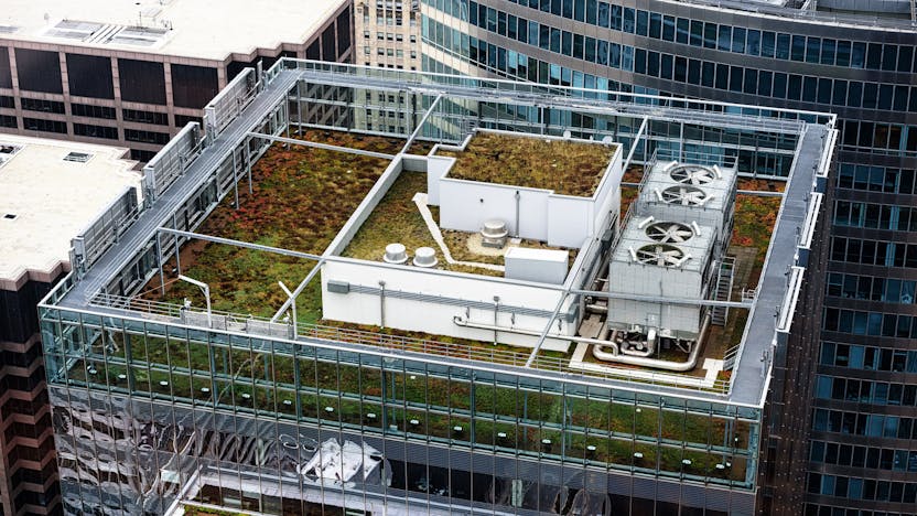 North America green building design and construction using green roofs to save energy, absorb rainfall, and help cool the air during the summer when the humidity and temperature in urban areas is much higher than nearby countrysides. Sustainable infrastructure and buildings.