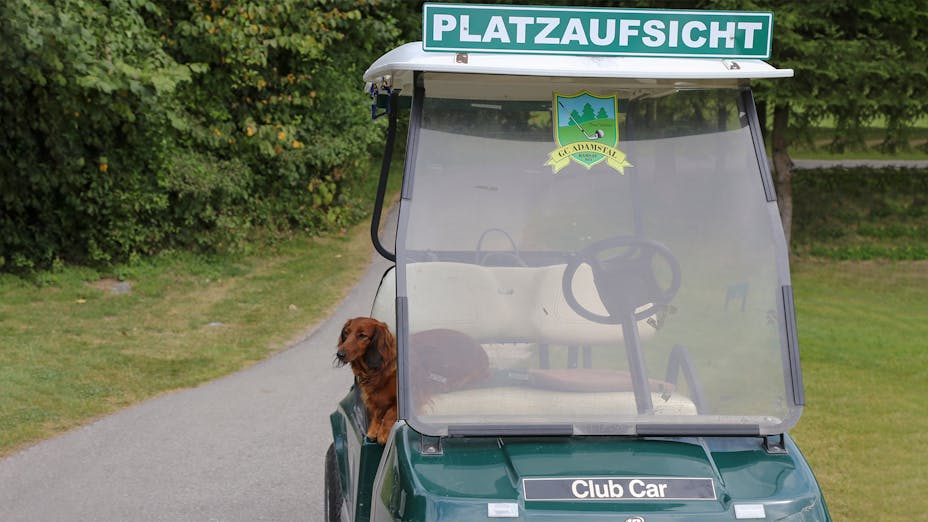 press, golf tournament 2018, golf cart, dog, adamstal, presse, austria