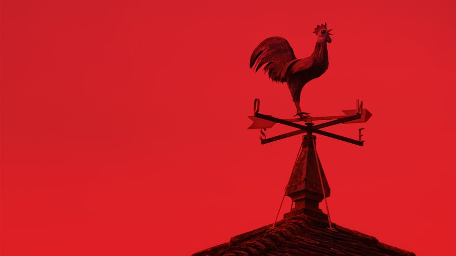 Dämmung mit ROCKWOOL macht Hühnerhaltung in der Stadt zu einer sicheren Sache