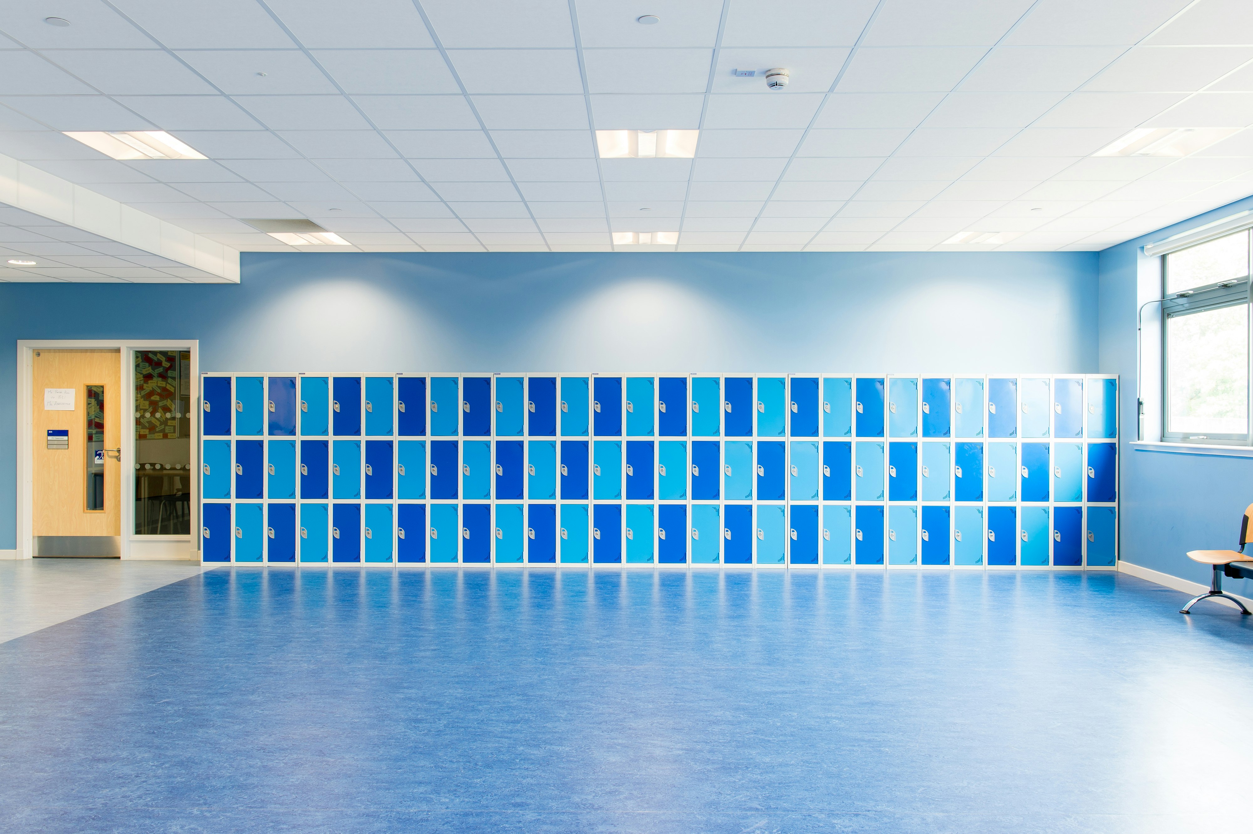 school, education, 2012, Alaska, Koral, Scholar, Samson, A_edge