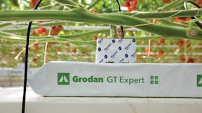 Growing solutions, growth, quality, innovative, development, GT Expert, grodan