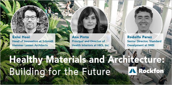 Article, Healthy Materials and Architecture, Building for the Future, Enlai Hooi, Ana Pinto, Rodolfo Perez
