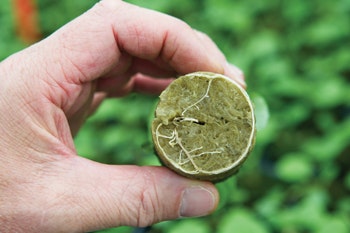 Photo Macro plug, Visual Macro plug, Macro plug