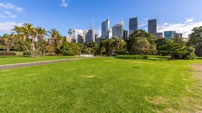 Sydney Skyline view from the Royal Botanic Gardens.
