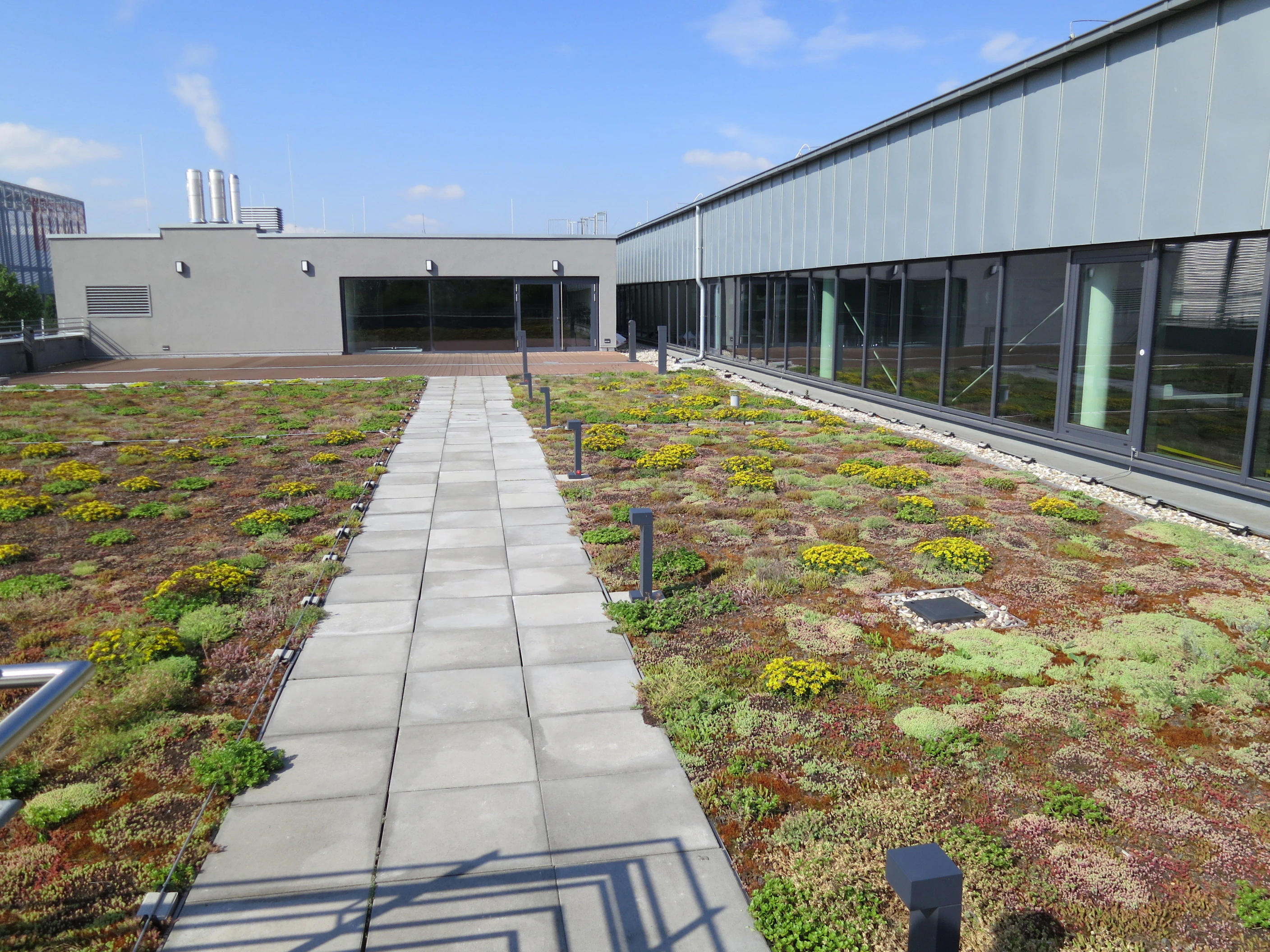 pim, flatroof, flat roof, fri, FRI, Flachdach, insulation, Solarrock, higher stressed flat roof, höher beansprucht, Dachterrasse, roof terrasse, Fotos ASG, retuschiert (ohne Person), header/hero