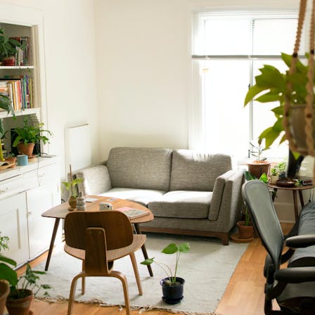 Small, apartment, green
