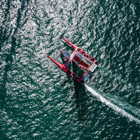 F50 seen from above whilst sailing off the shore of New Zealand