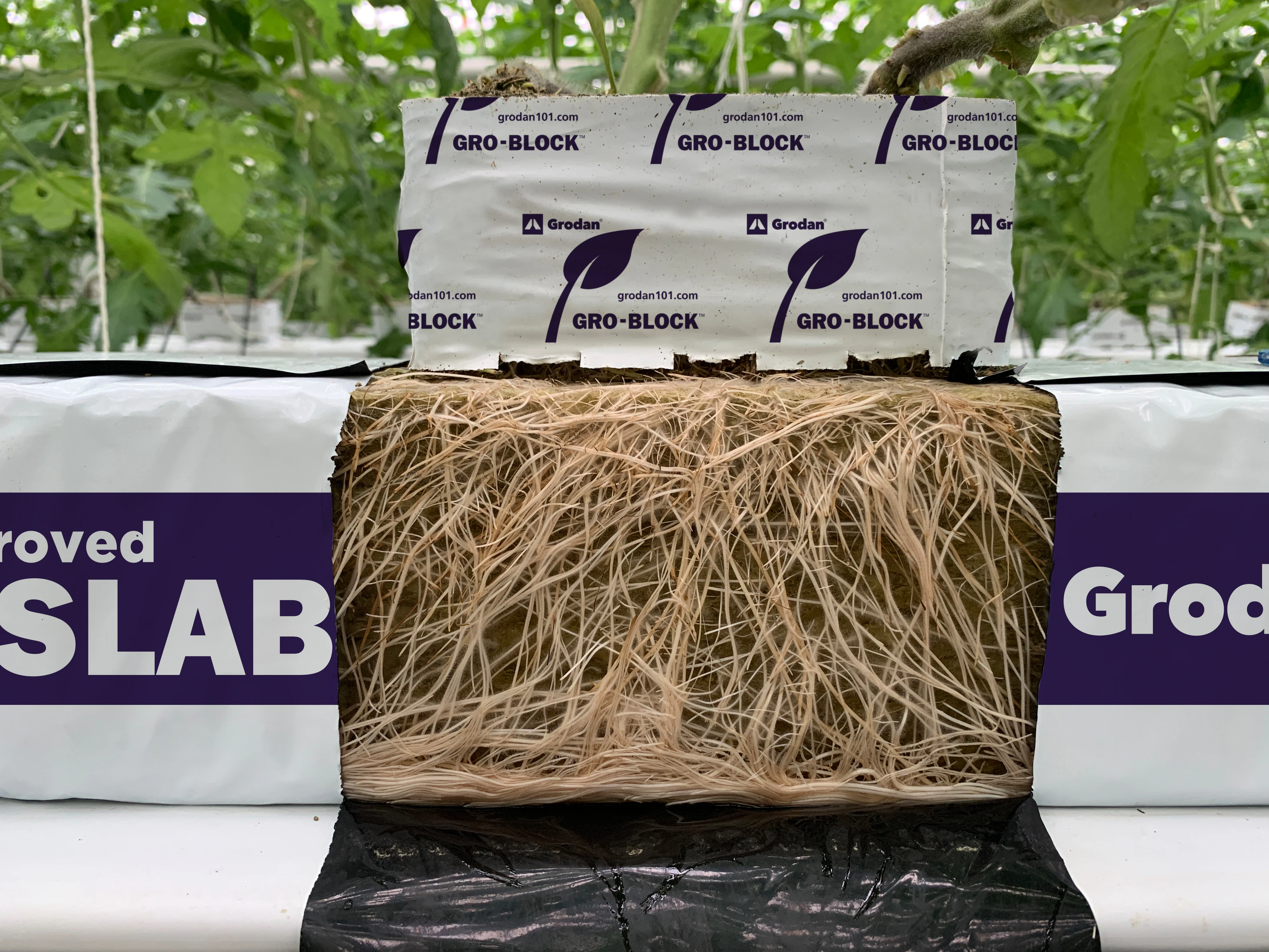 Grodan Improved Gro-Slabs and Uni-Slabs