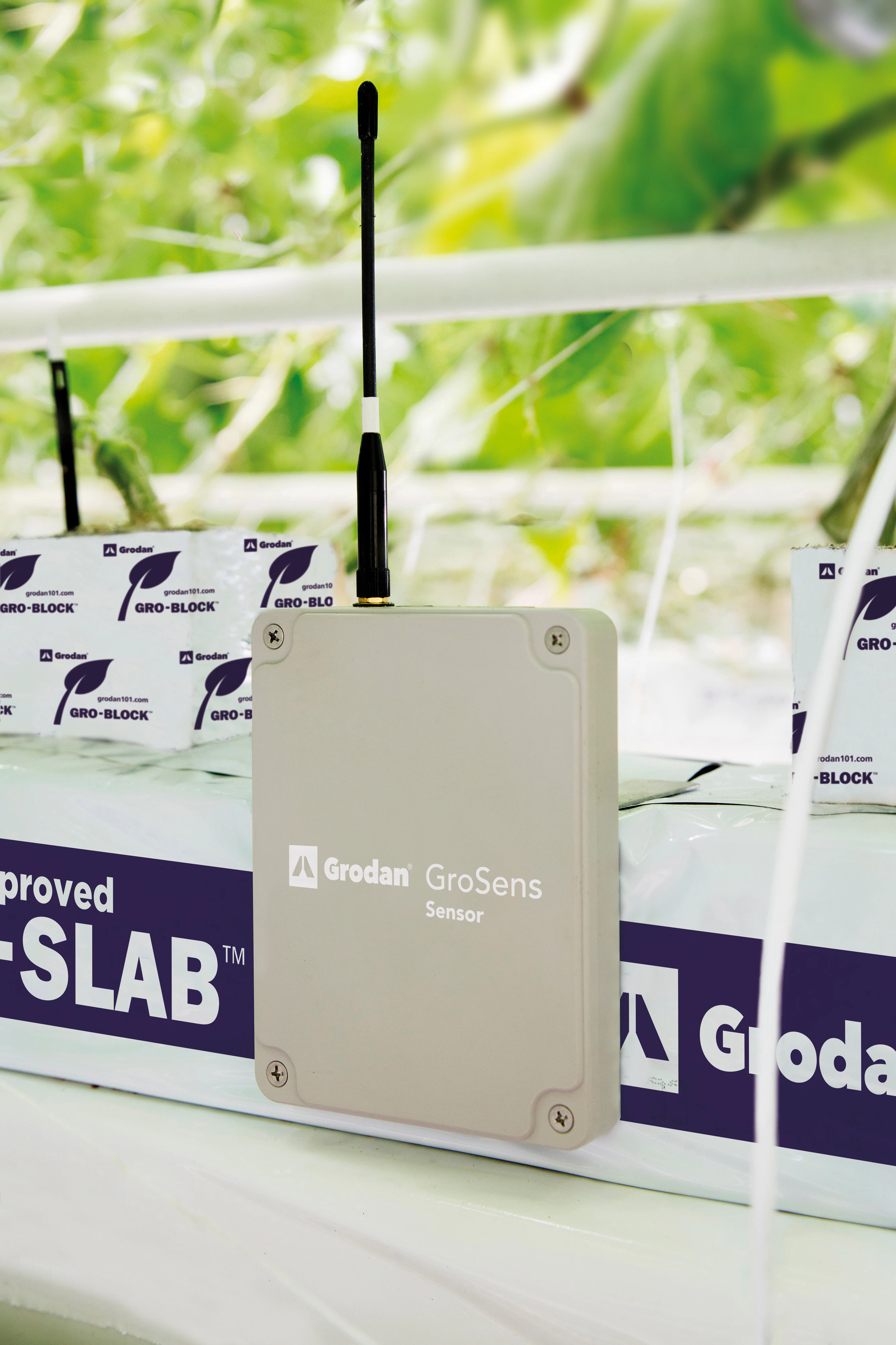 Image of Grodan Improved Gro-Slabs and Uni-Slabs