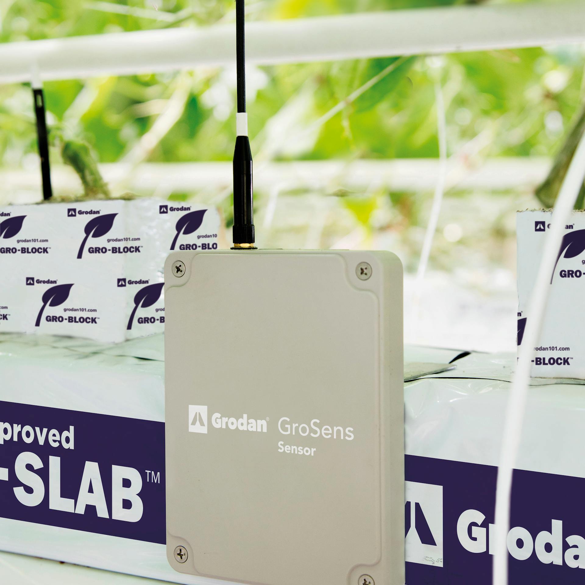 Grodan Improved Gro-Slabs and Uni-Slabs (2)