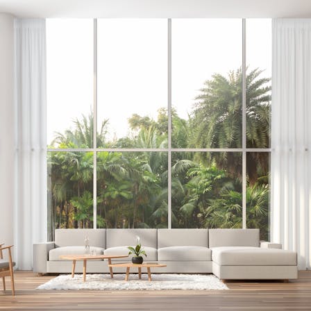 Home, interior, modern, window, high ceiling, palm tree