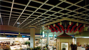 Rockfon® Beamgrid® Open Plenum Ceiling System