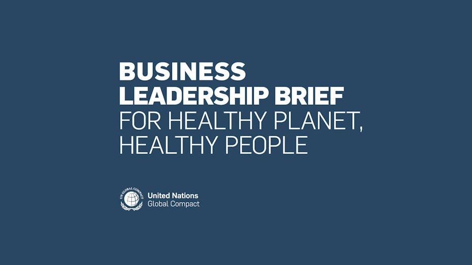 news article illustration, business leadership brief for healthy planet - healthy people, UN, United Nations, Global Compact