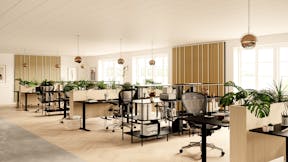 Rockfon Lamella Office Environment - Render