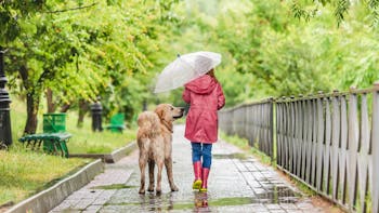 Rain, city park, girl walking dog