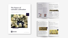 'The Future of Cannabis Cultivation' whitepaper mockup (white)