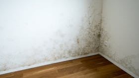 mould problem on white wall, humidity, moisture, construction damage, austria