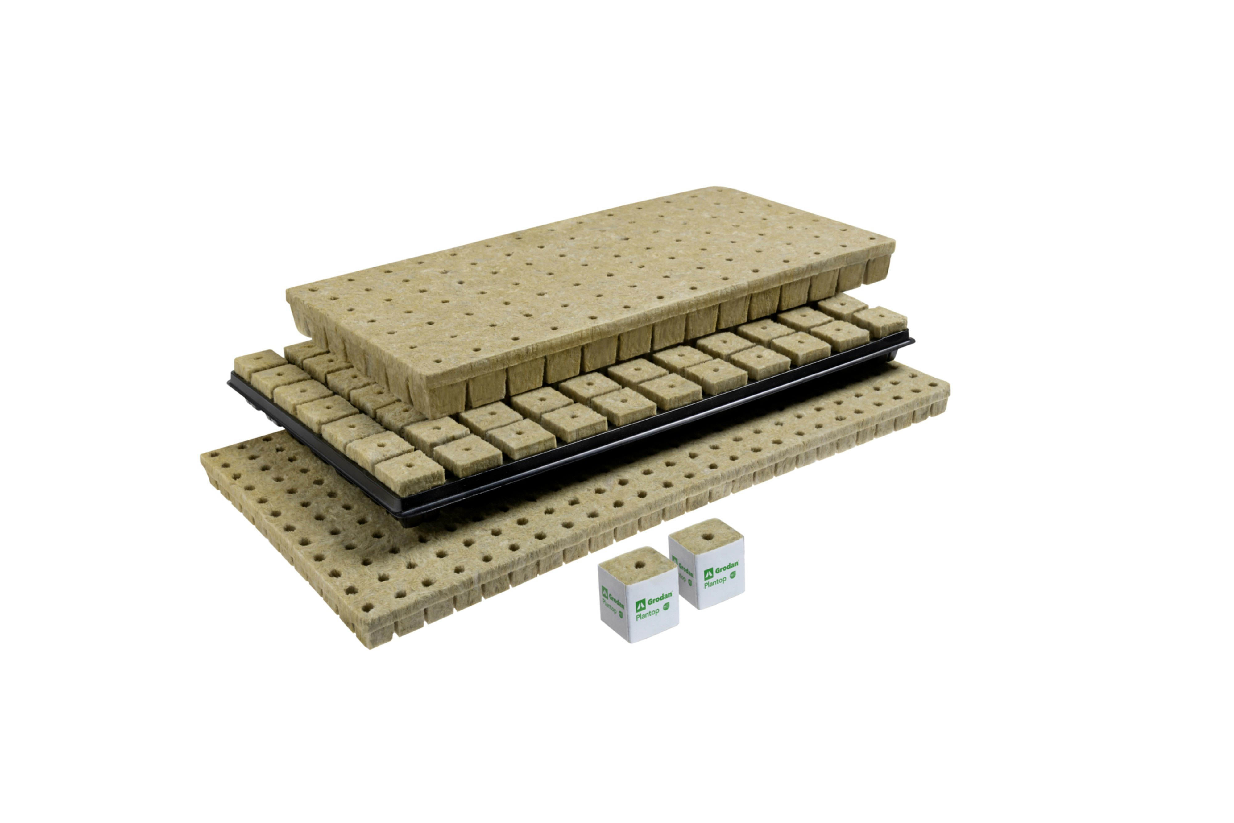 Lettuce product portfolio: AO, SBS, TACO, Lettuce Board, MM