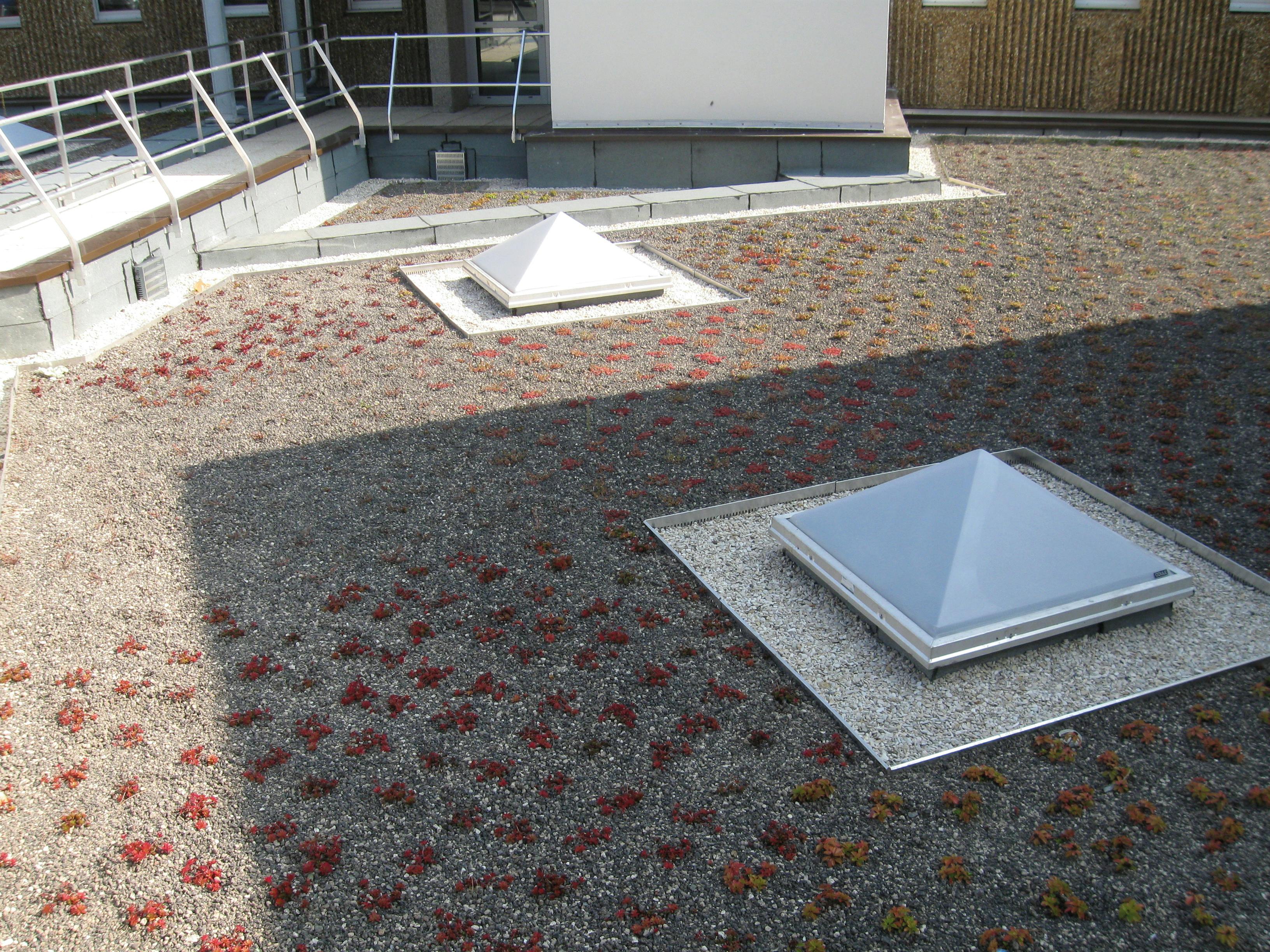 Isolation thermique pour toitures terrasses