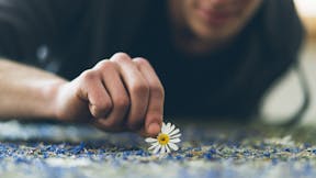 Person holding a daisy flower