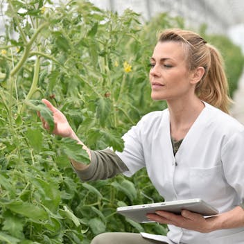 Woman in greenhouse
Agronomist analysing plants in greenhouse. People,  Grodan, Green, Horticulture.
