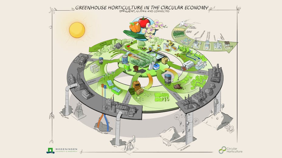 greenhouse, horticultural sector, circular production, sustainability, our thinking