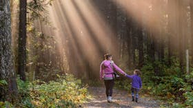 sustainability, mood image, wood, sunlight, mother and child, walking, forest, pathway, unsplash, photo by James Wheeler