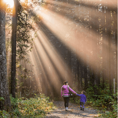 sustainability, mood image, wood, sunlight, mother and child, walking, forest, pathway, unsplash, photo by James Wheeler