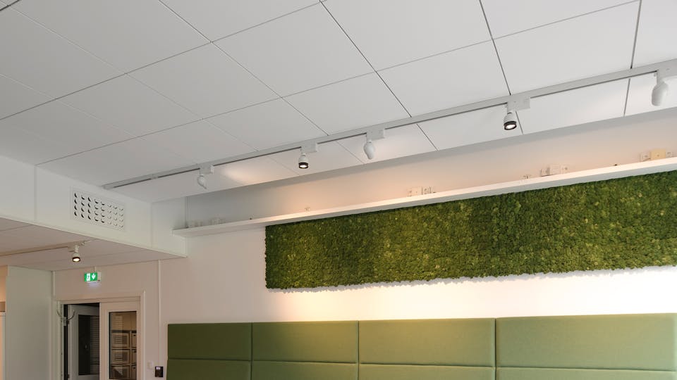 Acoustic ceiling solution: Rockfon Color-all®, 600 x 600 - Rockfon® System T24 A™