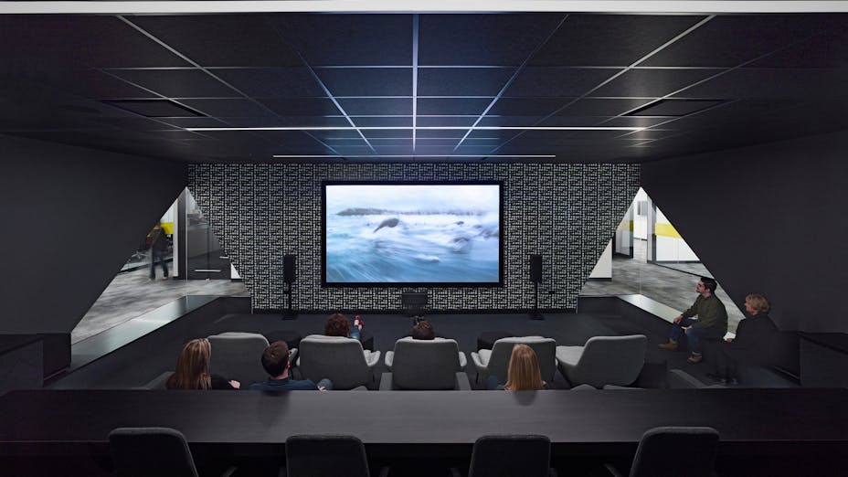 Rockfon Cinema Black 2x2 lay-in panels create theatrical ambiance in this viewing room
