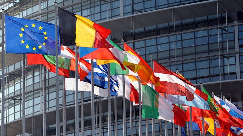 EU Parliament Flags