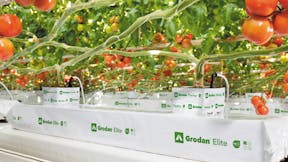 Grodan, greenhouse, energy saving, plant activity, article, news