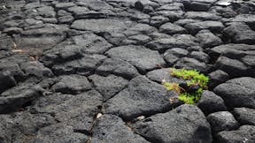 RockWorld imagery, The big picture, rock, stone, greenery